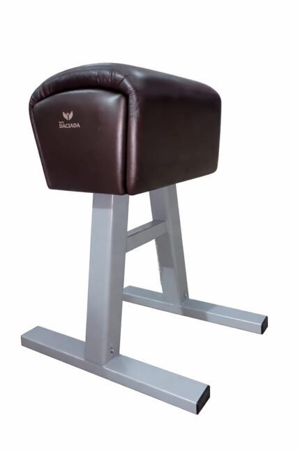 Potro de gimnasia